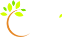 LE MONNIER Environnement