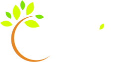 LE MONNIER Environnement